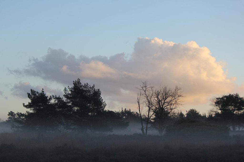 Overnachten op de Veluwe met sportieve activiteiten in natuurlijke omgeving: wandelen en fietsen tussen bossen en heidevelden